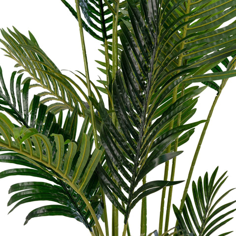 Palmira